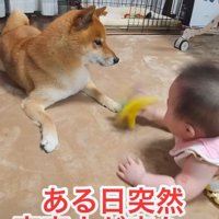 赤ちゃんを受け入れられない…