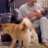 パパに抱っこされるひよりちゃん