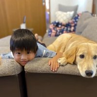ソファで並ぶ犬と人