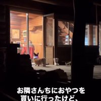 お隣のおじいちゃんの家に…