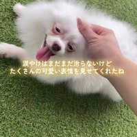 幸せな表情に変わった