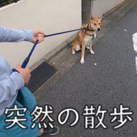 散歩中にお母さんに会った時のワンジローくん3