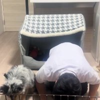 ヒメサンと並んで…