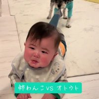ジリジリ引いて侵入を阻止
