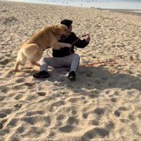 海辺でのハプニング7