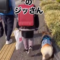 トボトボと歩いていた