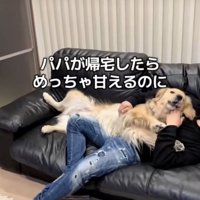 パパおかえりぃぃ