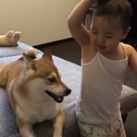 嬉しそうな犬と女の子