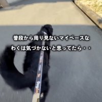 パパ、近くにいるよ！！