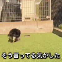 鈴ちゃんと家族の絆に感動