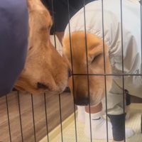 「これは現実じゃない」