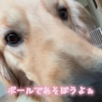 「ママ！遊ぼう！」