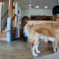 愛情いっぱいだね