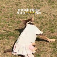 ちょっぴり疲れたかな？