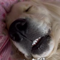 2年後のブランくん2