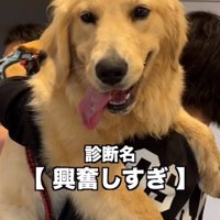 興奮しすぎだったちあちゃん