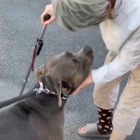 杖をついて歩くおばあちゃん