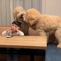 激しくワンプロを始めても…