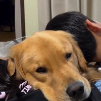 アルトくんと子どもたちの日常2