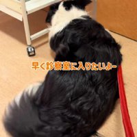 診察が待ちきれない