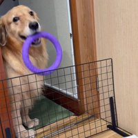 「こんなのもあるよ♪」