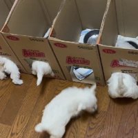 ルールを守らない客も