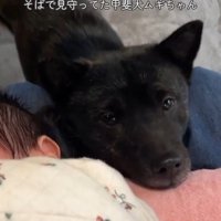 ツムギちゃんと娘さん2