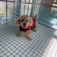 気持ち良さそうに水に浸かるロアくん