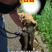 触ると怯えた表情に…