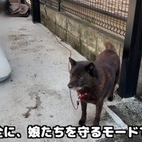 「僕が2人を守らなくちゃ！」