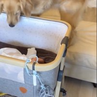 どこまでも気になる