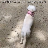 子供がいる家に引っ越し