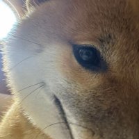 ニヒルなうみくん
