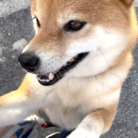 「ママもやめなさいって言って！」