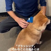 ぽんた君の変化7