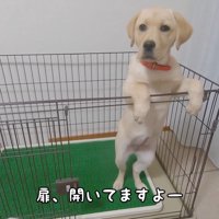 気づかずにキョトン
