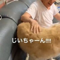 笑顔のおじいちゃん