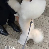 1年後のふう太くん