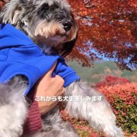 抱っこされるルアナちゃん