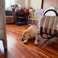 寂しそうな薫風ちゃん