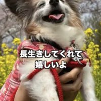 本当に楽しそう