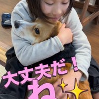 「心配しないで」