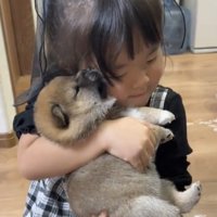 子犬に頬を寄せる女の子