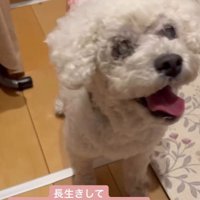 素敵なシニアライフを送れそう！