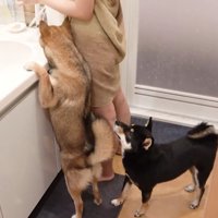スキンケア中もそばで待機