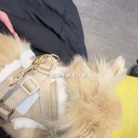 「本当に4歳？」