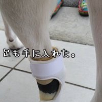 義足も装着できるように！