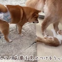 うにくんも応戦！！