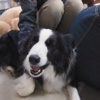 「ゲームはしないで、僕だけを見てて♡」