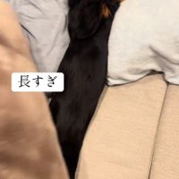 布団をめくってみることに